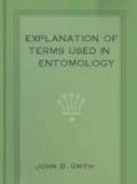 Explanation Of Terms Used In Entomology