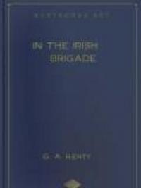 In The Irish Brigade