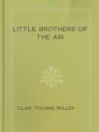 Little Brothers Of The Air