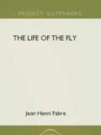 The Life Of The Fly