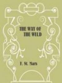 The Way Of The Wild