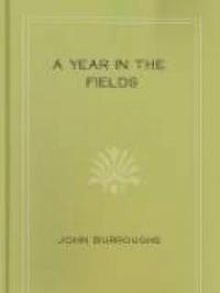 A Year In The Fields