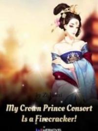 My Crown Prince Consort Is A Firecracker!