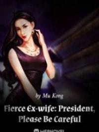 Fierce Ex-wife: President, Please Be Careful